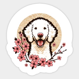 Curly-Coated Retriever Welcomes Spring with Cherry Blossoms Sticker